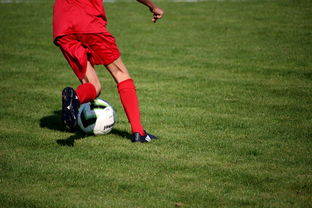 九游-中国青少年篮球运动员伤病防控体系建设，青少年篮球训练现状分析