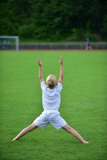 九游官网首页-高校体育赛事观众体验提升，高校体育赛事观众体验提升方案